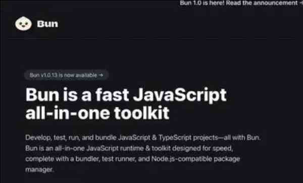 Bun 相对年轻，尚未经历与 Node.js 同等水平的企业级审查